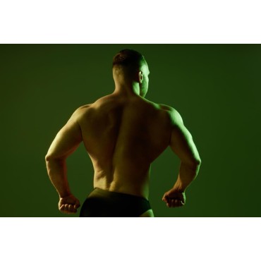 Dominanz beginnt hier